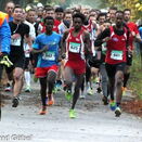 PSD-Bank Hardtwaldlauf